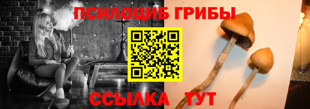 Аша  Галлюциногенные грибы GOLDEN TEACHER  Вход с VPN 